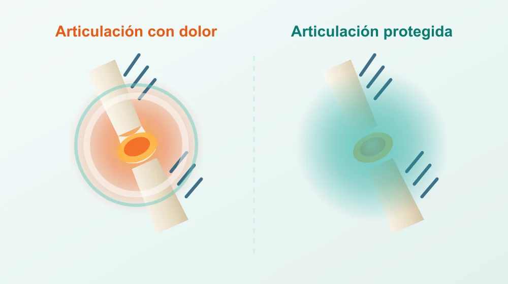 Comparación entre una articulación con dolor e inflamación y una articulación protegida